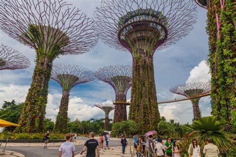 singapore s gardens by the bay is absolutely breathtaking realitypod