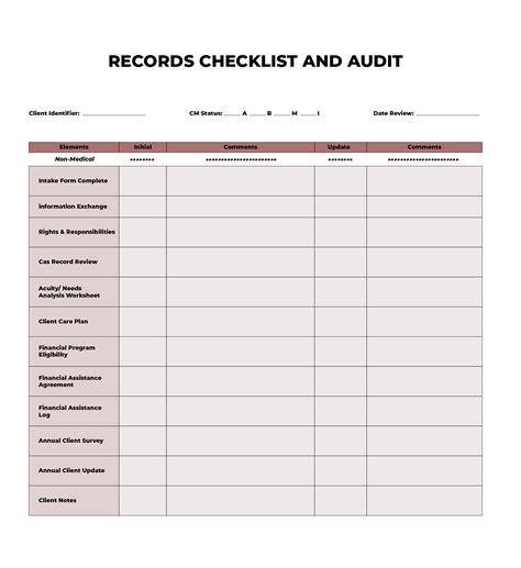 Medical Chart Audit Template