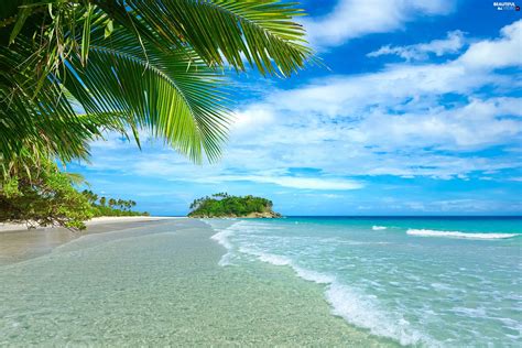 Sea Palms Islet Beaches Beautiful Views Wallpapers 2560x1706