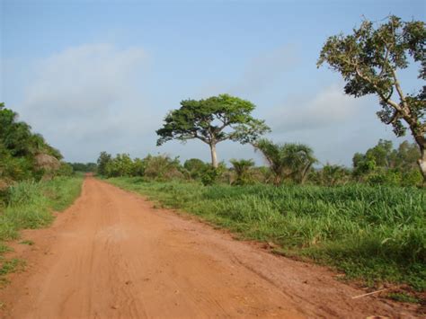 (countries of africa) countries of africa; Tsevie to Keve Togo
