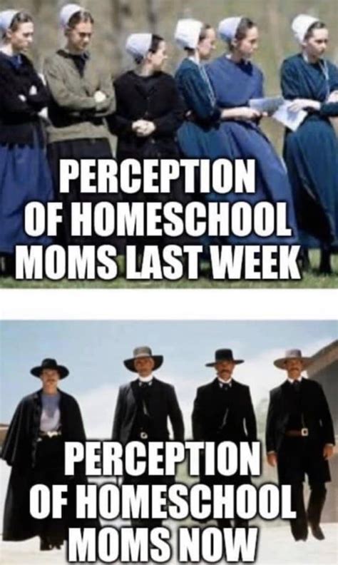 What is your family's plan for remote learning? 25+ Funny Homeschool Memes 2020 - Remote Learning Laughs ...