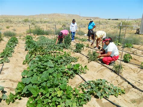 Native Growers Decolonize Regenerative Agriculture | Green America