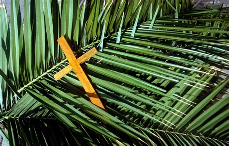 Musings Of A Motherless Child Palm Sunday Then And Now