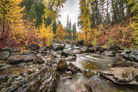 Stream In Autumn Forest Hd Wallpaper Background Image 2048x1366