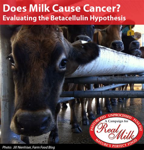 Does Milk Cause Cancer Evaluating The Betacellulin Hypothesis A Campaign For Real Milka