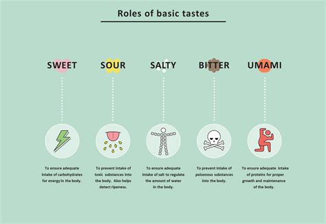 What are the Five Basic Tastes? | Everything about umami | Umami