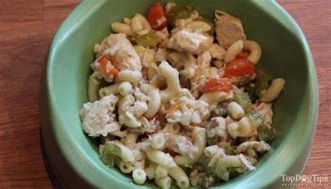 My personal belief is feeding your dog a raw dog food is the best. Best Homemade Dog Food Recipe with Chicken and Rice - Top ...