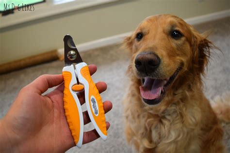 Have a question about your pet's health? Trimming a Dog's Nails with Wagglies Dog Nail Clippers