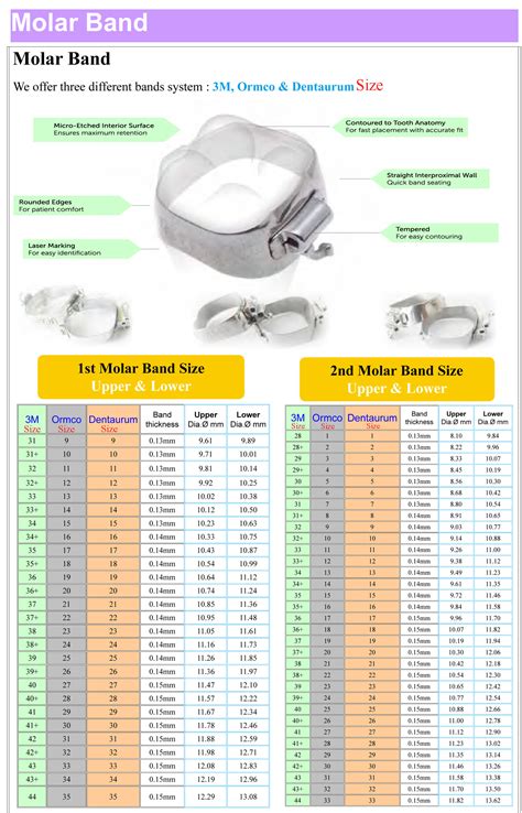 Ormco Size - 1st Molar Band, 4 Pcs / Pack ( Unit)