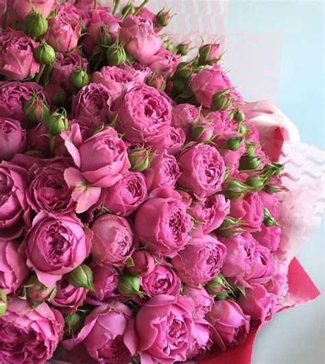 Shared By 𝐊𝐑𝐈𝐒𝐓𝐀𝐋𝐐𝐔𝐄𝐄𝐄𝐍 Find Images And Videos About Flowers Roses