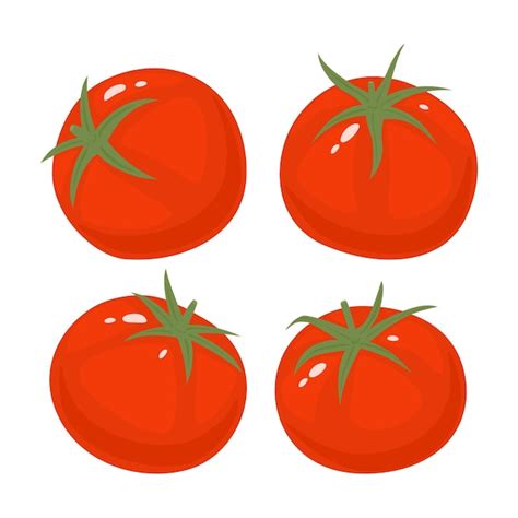 Tomato Vectors And Illustrations For Free Download Freepik