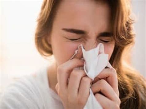 Allergie respiratoire symptômes causes traitement et prévention