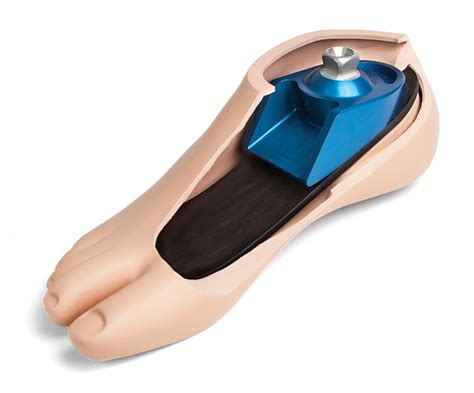 Breeze Foot K1 And K2 Prosthetic Feet Prosthetics Products