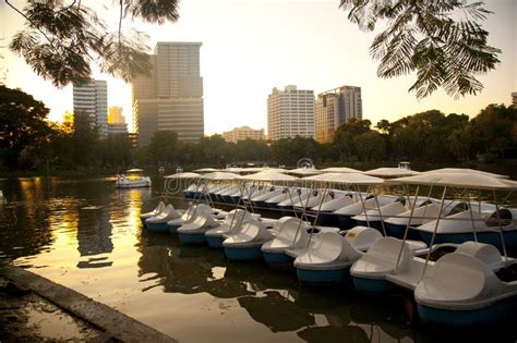 Lumpini Park At The Sunset Thailand Editorial Stock Image Image Of Business Reflection