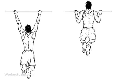 Pull Up Illustrated Exercise Guide Workoutlabs
