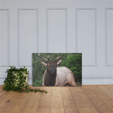 Elk Portrait Wildlife Photography Print And Canvas Etsy