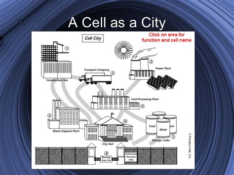 Animal cell city analogy examples. Cell Analogy Project