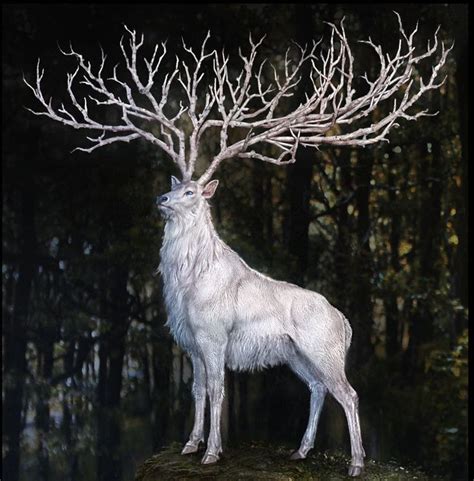 White Deer Mythical Creatures Mythological Creatures Magical Creatures