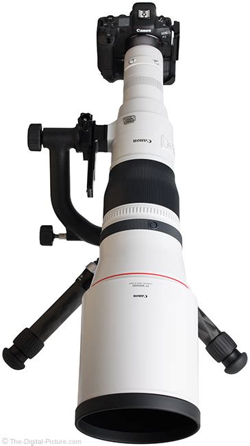 Canon Rf 1200mm F8 L Is Usm Lens Review