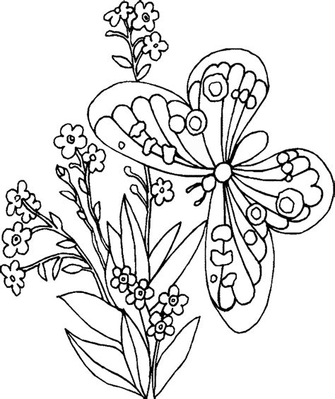 In this section, find a large selection of coloring pages difficult butterfly. Butterfly Coloring Pages