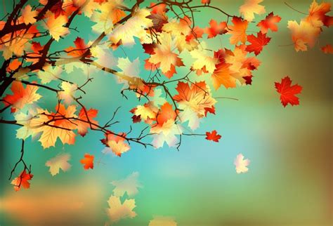 Laeacco Photography Backgrounds Autumn Maple Leaves Tree Bokeh Portrait