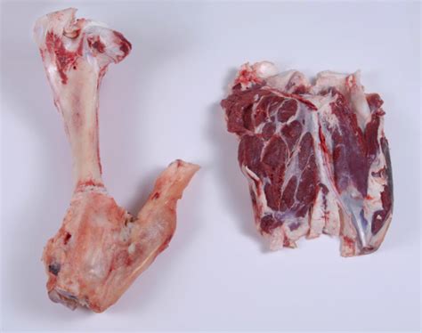 Composition of Meat – Meat Cutting and Processing for Food Service