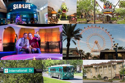 7 Fun Things To Do In Orlando Besides Theme Parks