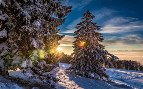 49 Hintergrundbilder Berge Winter Handy Kaziafrik