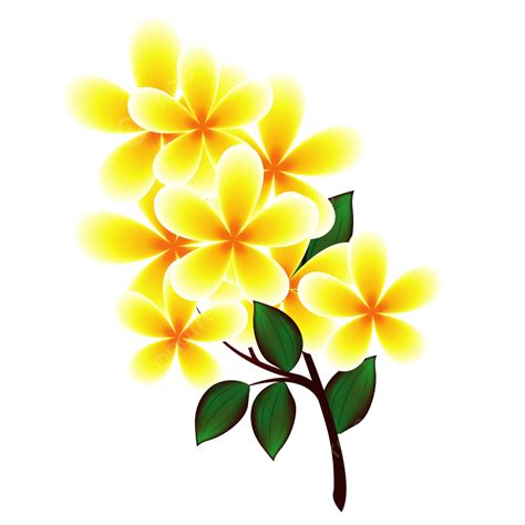 Gambar Bunga Warna Kuning Bunga Kuning Bunga Bunga Bunga Png Dan