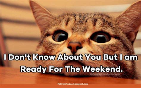 Funny And Happy Weekend Memes Quotes With Funny Weekend Images