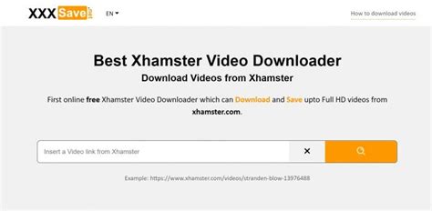 top 8 best xhamster downloaders and easy ways to download xhamster videos
