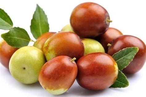 Jujube Fruit All That You Need To Know About This Delicious And