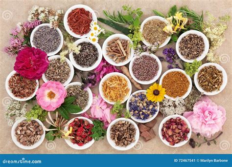 Herbs And Flowers For Healing Stock Image Image Of Herbal Cornflower