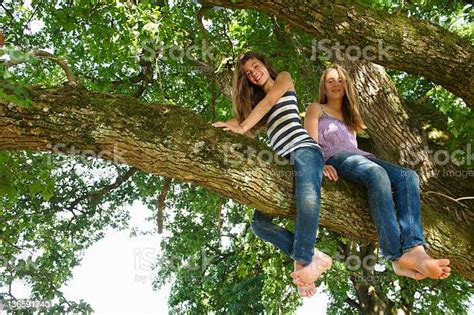 Mädchen Sitzen Auf Baum Zusammen Stockfoto Und Mehr Bilder Von 10 11