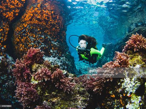 Diving In Spain Foto De Stock Getty Images
