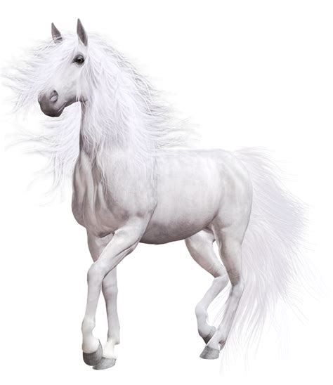 White Horse Png Clip Art Best Web Clipart