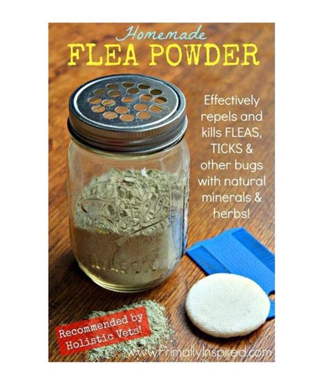 Homemade Flea Powder Recipe Flea Powder For Dogs Flea Powder Flea
