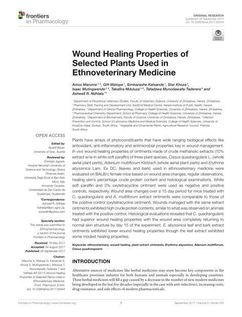 Pdf Wound Healing Properties Of Selected Plants Used In