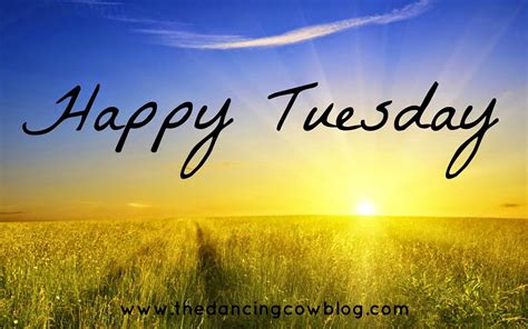 Happy Tuesday Have A Great Day Images And Photos Finder
