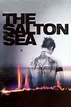 The Salton Sea movie review & film summary (2002) | Roger Ebert