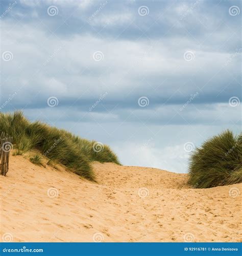 Formby Beach Near Liverpool On A Sunny Day Stock Image Image Of