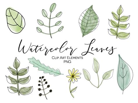 Watercolor Leaves Clipart Handgezeichnete Blätter Doodle Etsyde