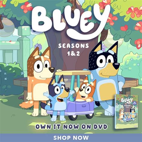 Bbc Shop Pre Order Bluey Complete Seasons 1 And 2 Today Milled