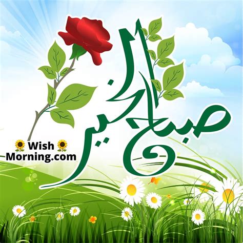 Good Morning Arabic Wishes Wish Morning