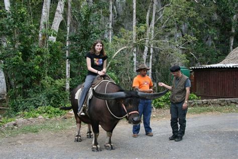 Kültür ve turizm bakanı ersoy'dan flaş açıklamalar! KÜBA TURU | Novitas Turizm