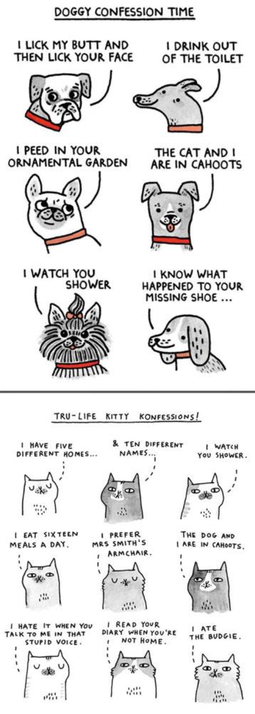 The Difference Between A Dog Person And A Cat Person That Only Insiders