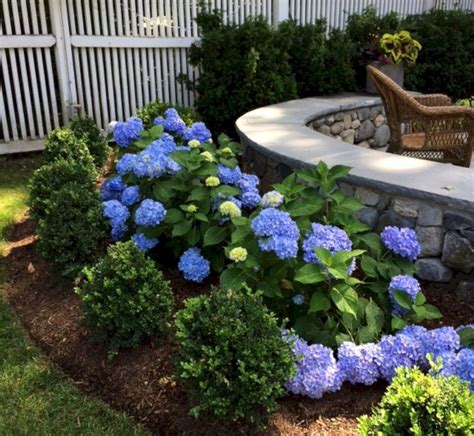 Adorable 50 Most Beautiful Hydrangeas Landscaping Ideas To Inspire You