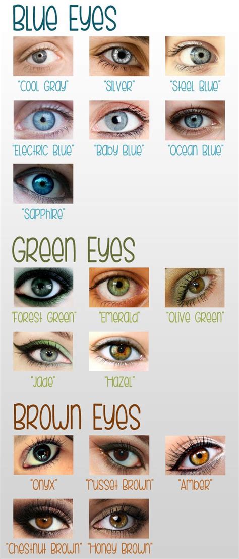 Eye Color Chart Eyes Eyecolors Eye Color Chart Eye Color Facts An Eye