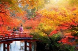 Kyoto, Giappone: informazioni per visitare la città - Lonely Planet