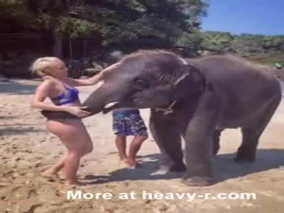 Girl Getting Fucked By An Elephant Pics And Galleries